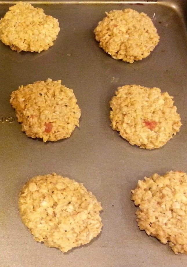 Oatmeal Burgers