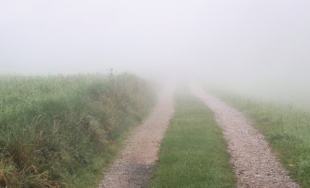 Embrace the Uncertainty