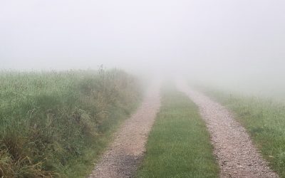 Embrace the Uncertainty